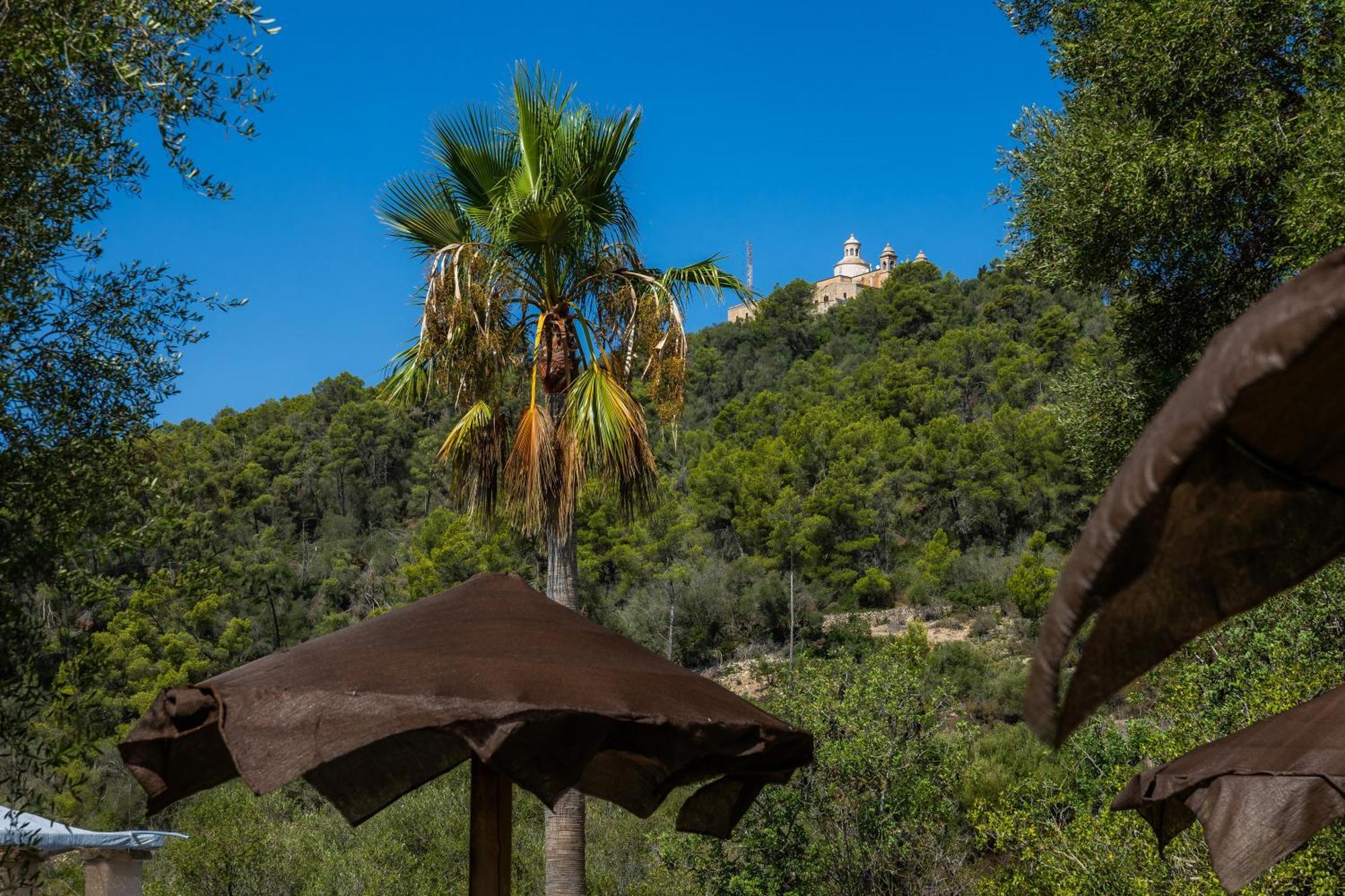Apartment Es Forn Petra (Mallorca)
